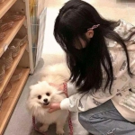 万博滚球软件截图